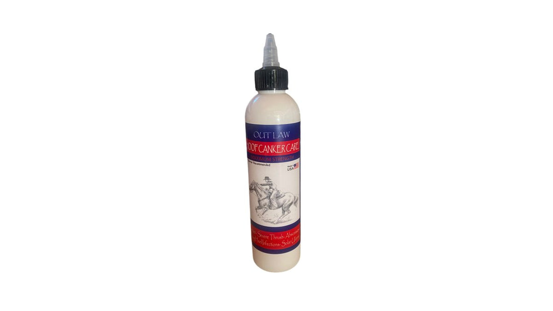 Treating Horse Canker in Wet Conditions