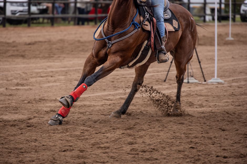 Effective Horse Hoof Moisturizer: Complete Guide to Optimal Hoof Health
