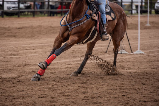 Effective Horse Hoof Moisturizer: Complete Guide to Optimal Hoof Health