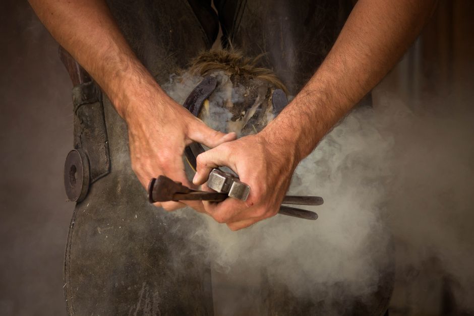 Equine Hoof Care Products: a Complete Guide to Natural Hoof Health