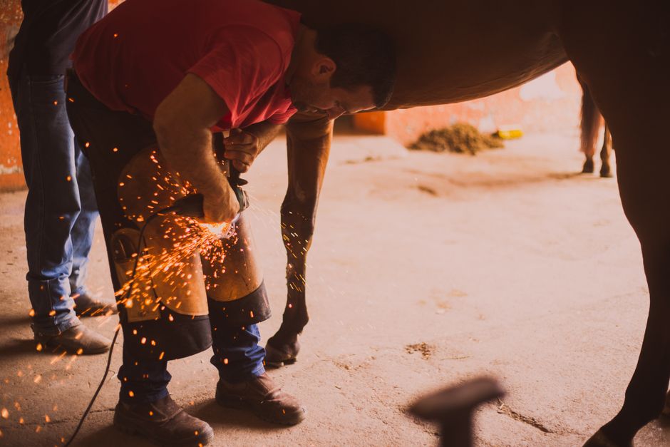 How Do Farriers Treat Thrush