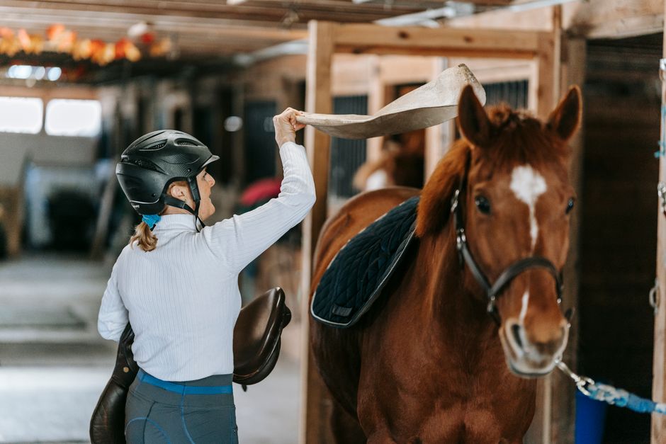3d Squish Pads for Horses: Ultimate Guide