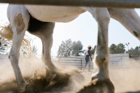 Treating Sensitive Horse Hooves: a Comprehensive Guide to Natural Care