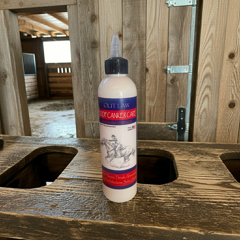 Outlaw Hoof Canker Care for horses 8 0z, Equine Canker, Proliferative pododermatitis in horses, White Line, Severe Thrush