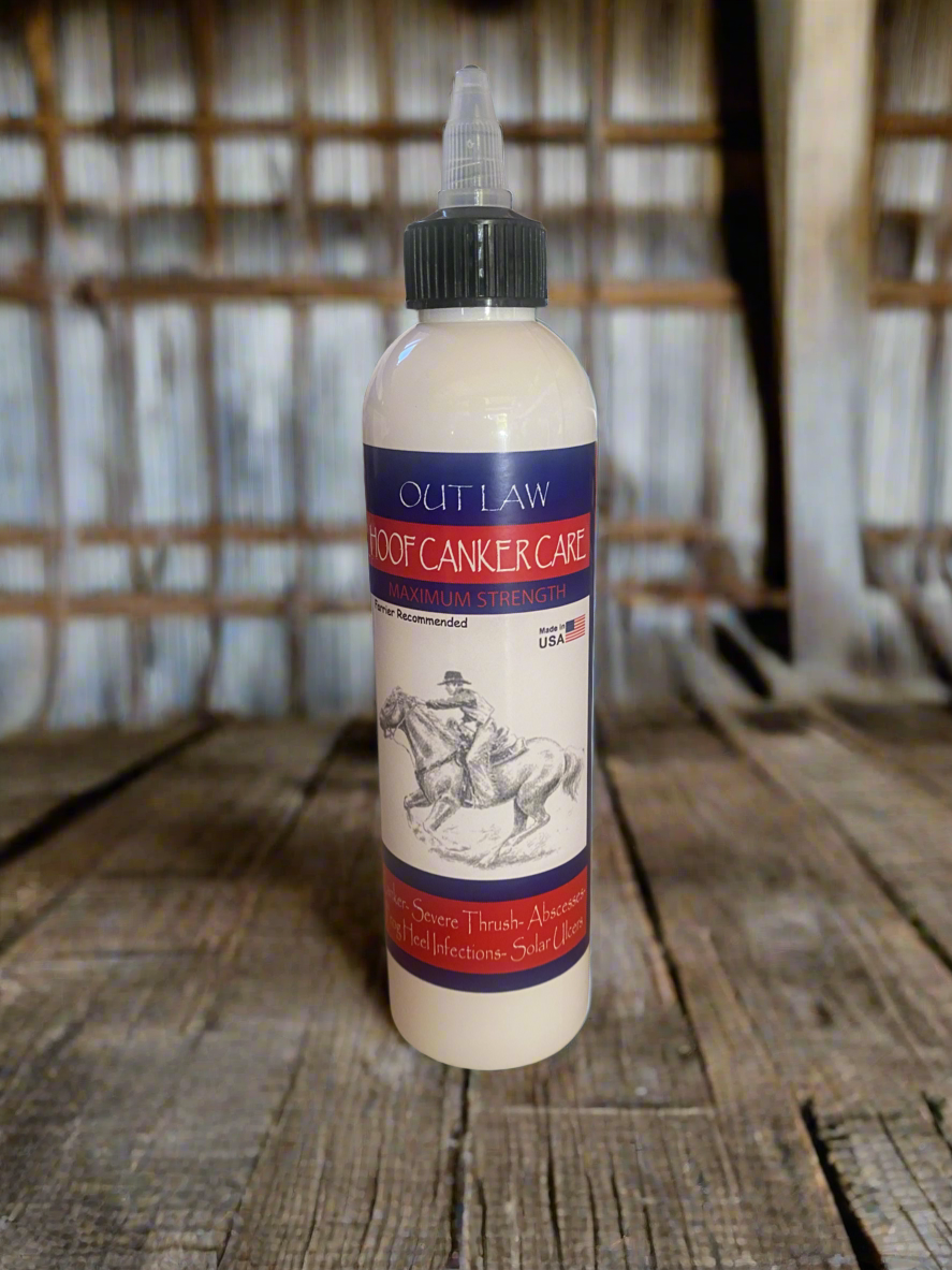 Outlaw Hoof Canker Care for horses, Equine Canker, Proliferative pododermatitis in horses, White Line, Severe Thrush