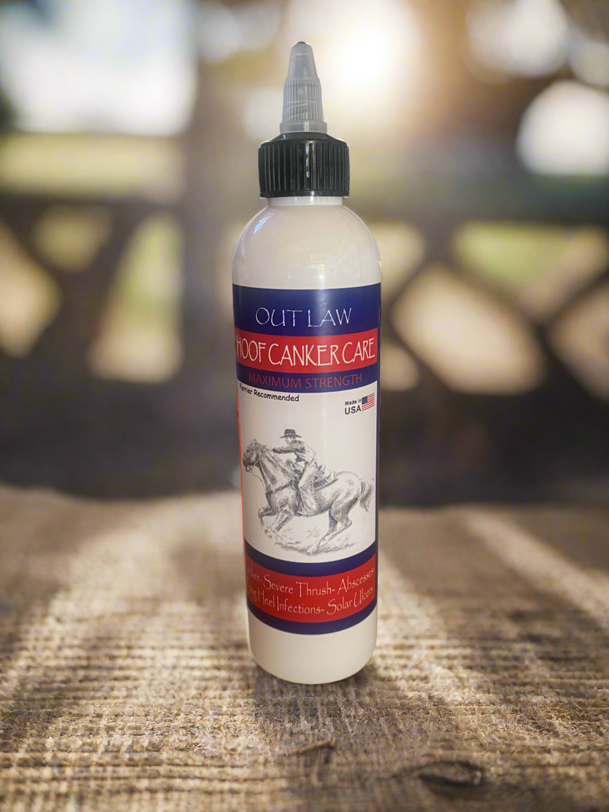 Outlaw Hoof Canker Care for horses, Equine Canker, Proliferative pododermatitis in horses, White Line, Severe Thrush