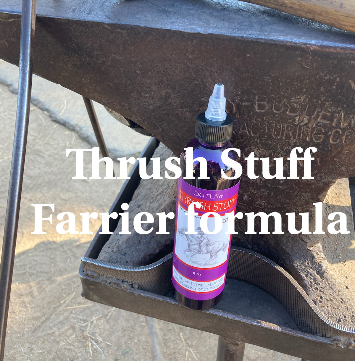Outlaw Thrush Stuff treatment for horses on an blacksmith anvil