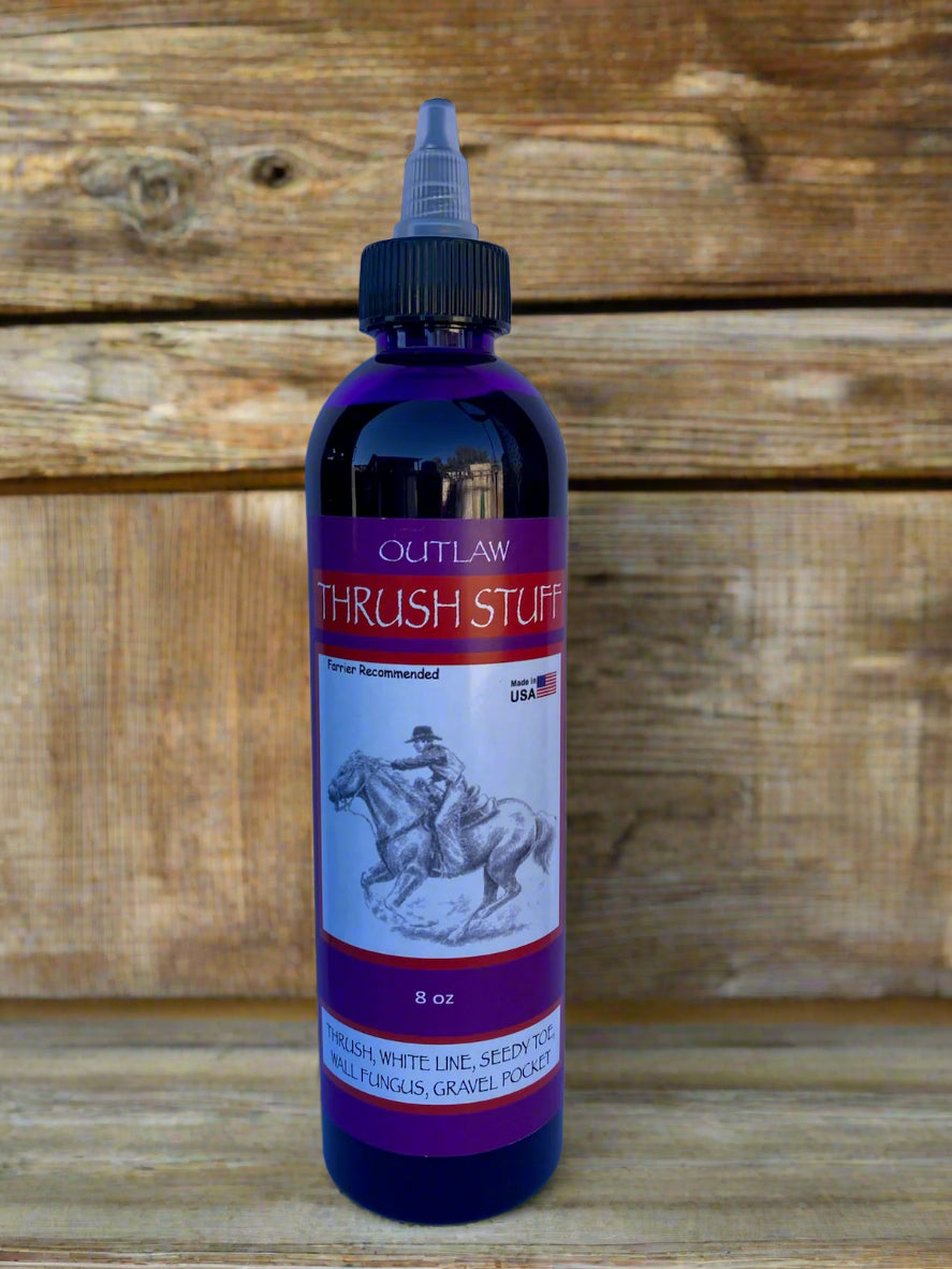 Applying thrush treatment to horse hoof deep sulcus
